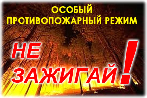 Об установлении на территории Ковернинского муниципального района особого противопожарного режима